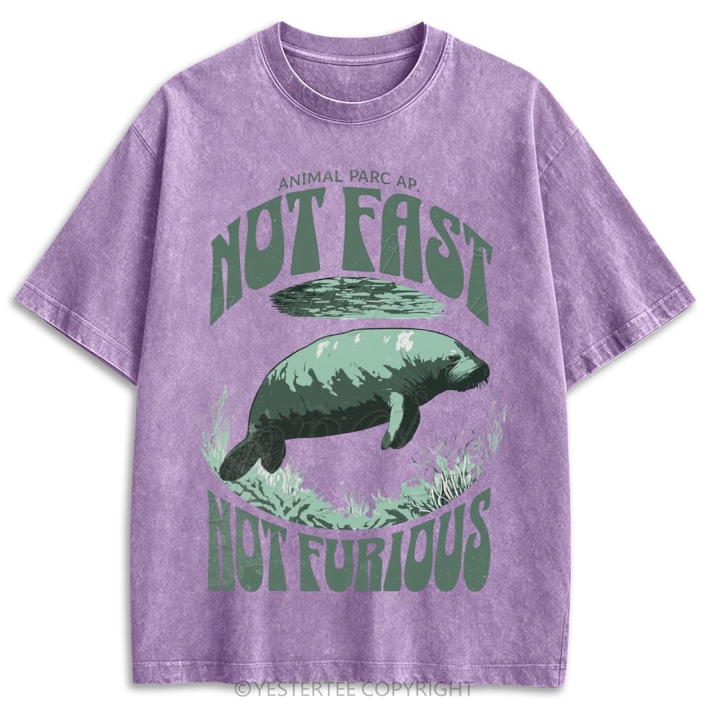 Retro Washed T-shirt 2607002784