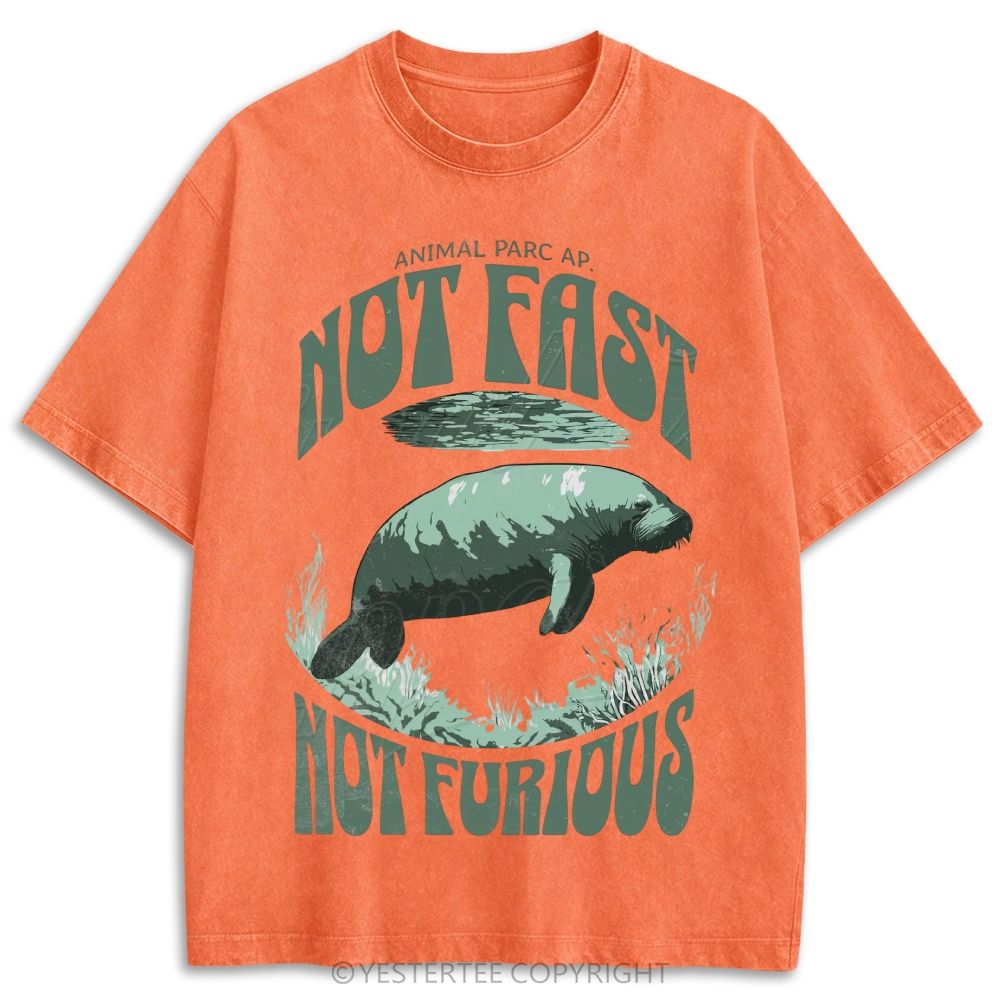 Retro Washed T-shirt 2607002784