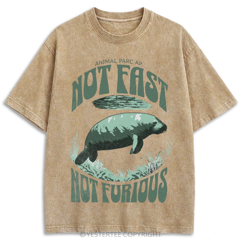 Retro Washed T-shirt 2607002784