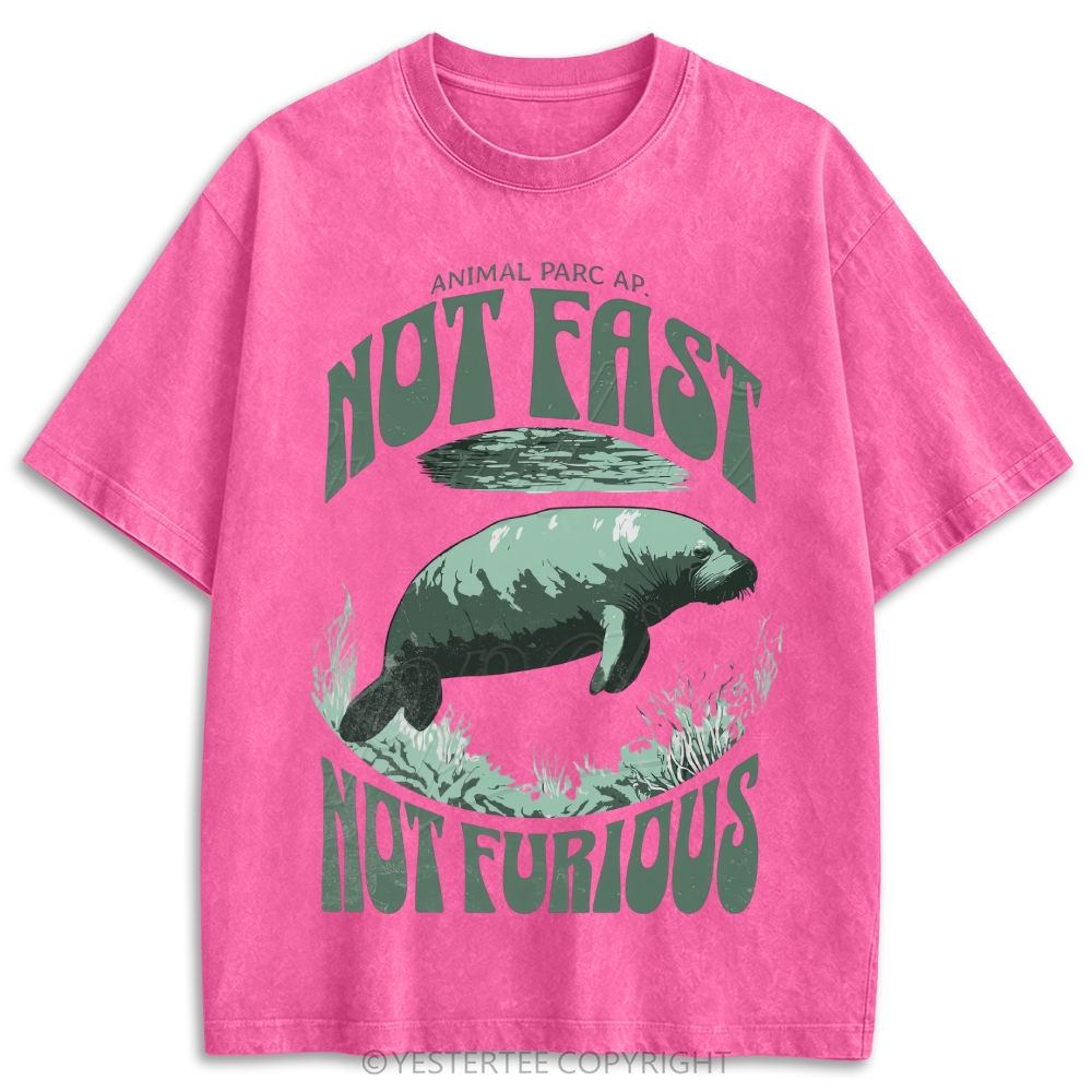 Retro Washed T-shirt 2607002784