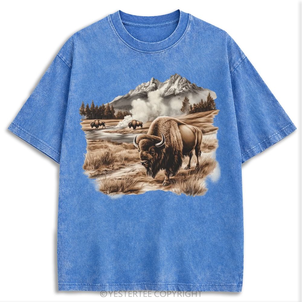Retro Washed T-shirt 2607003481
