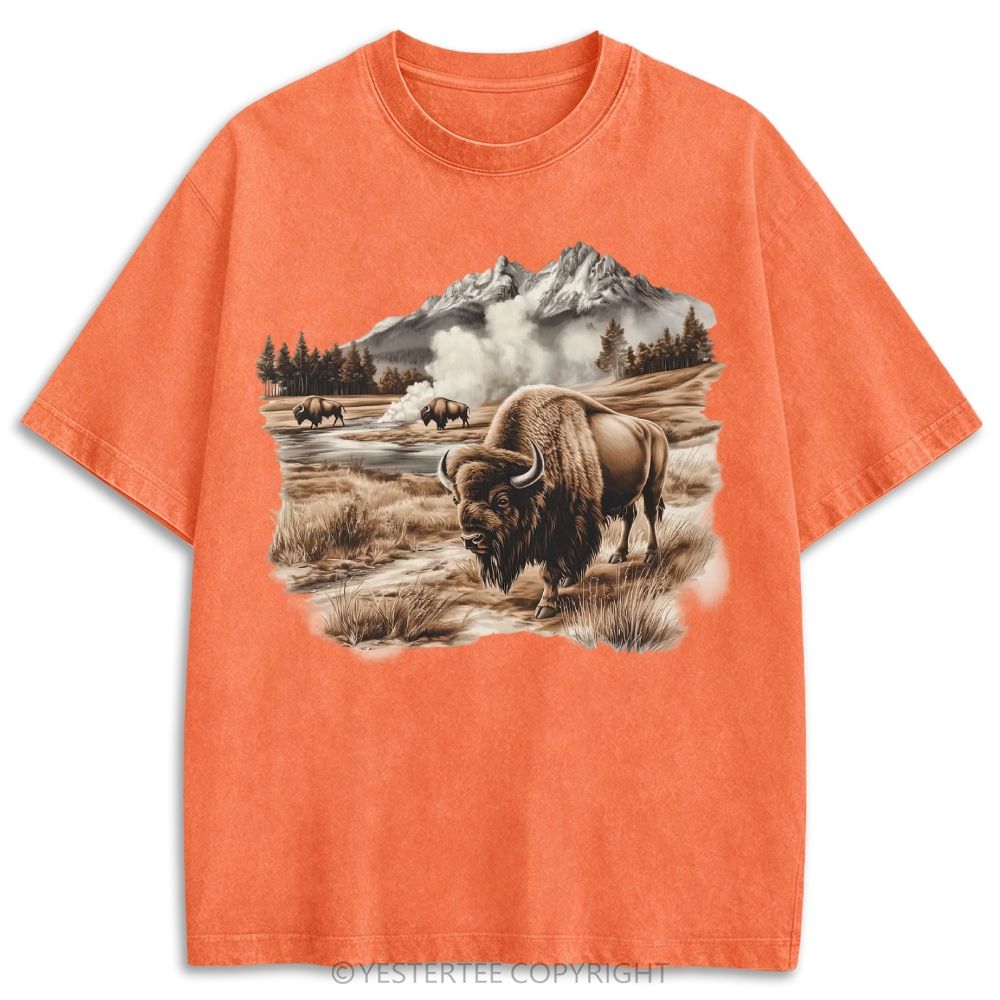 Retro Washed T-shirt 2607003481
