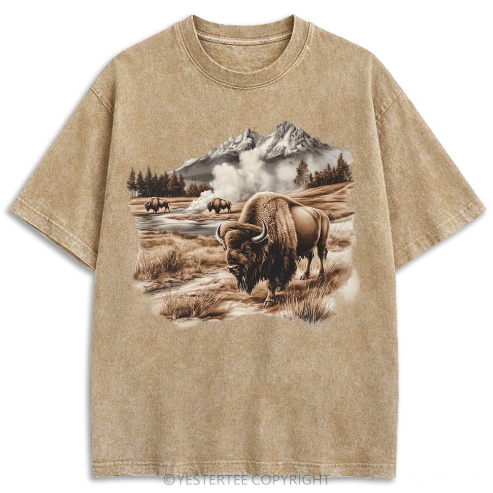 Retro Washed T-shirt 2607003481