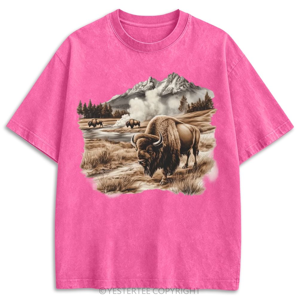 Retro Washed T-shirt 2607003481