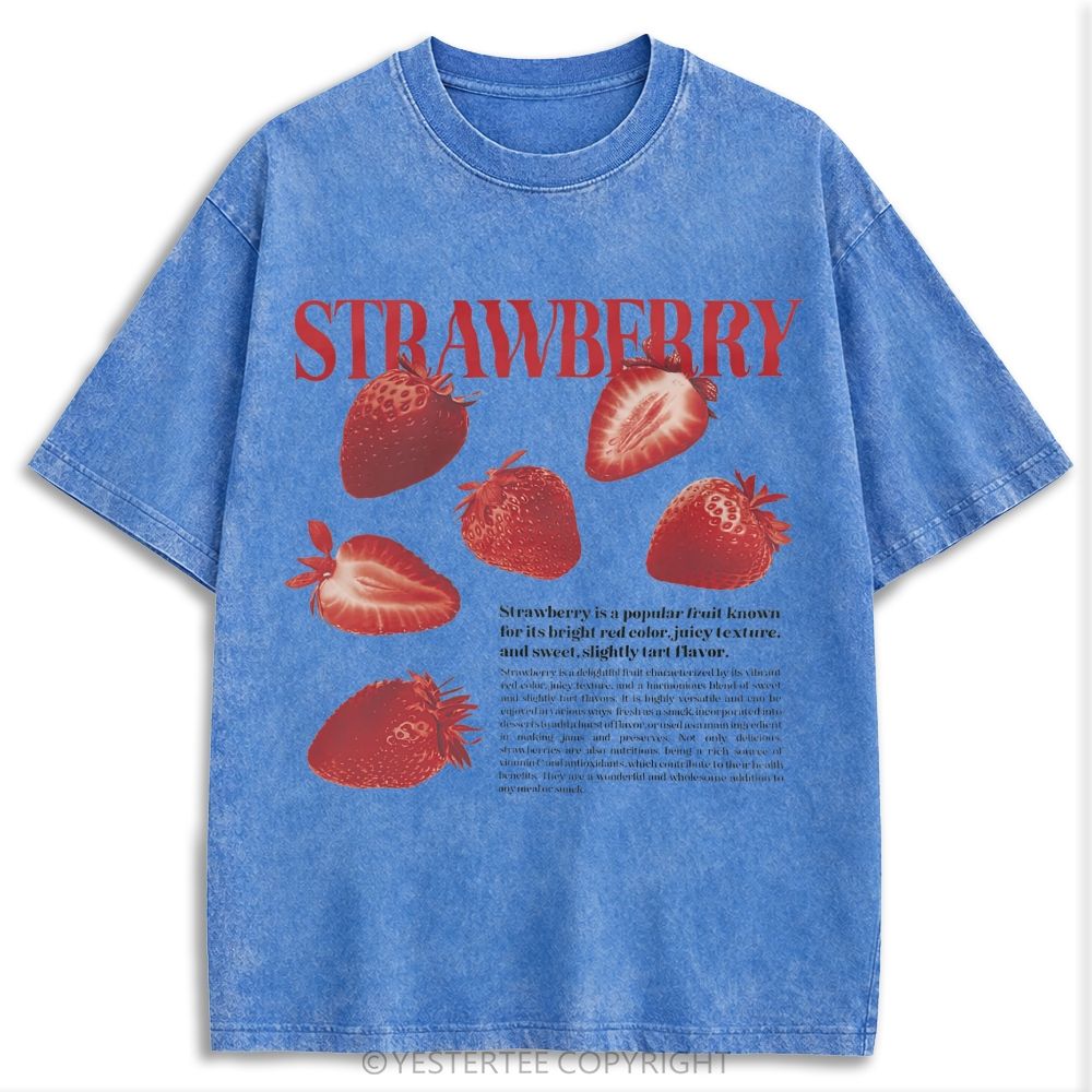 Retro Washed T-shirt 2607003592