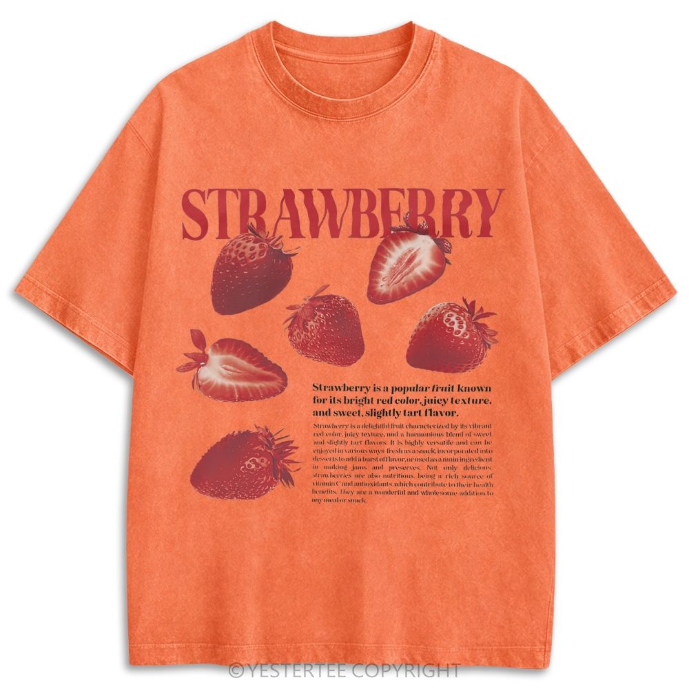 Retro Washed T-shirt 2607003592