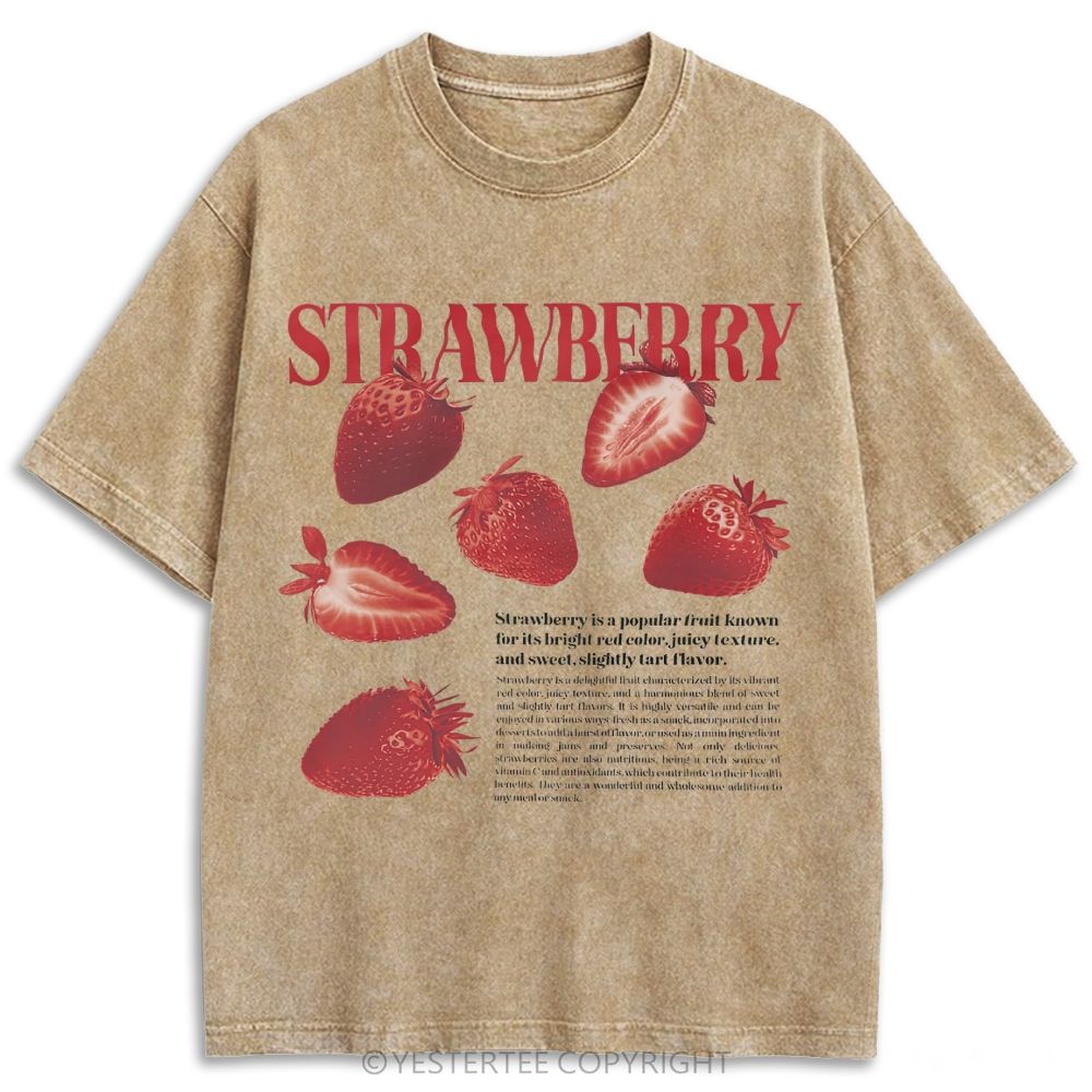 Retro Washed T-shirt 2607003592