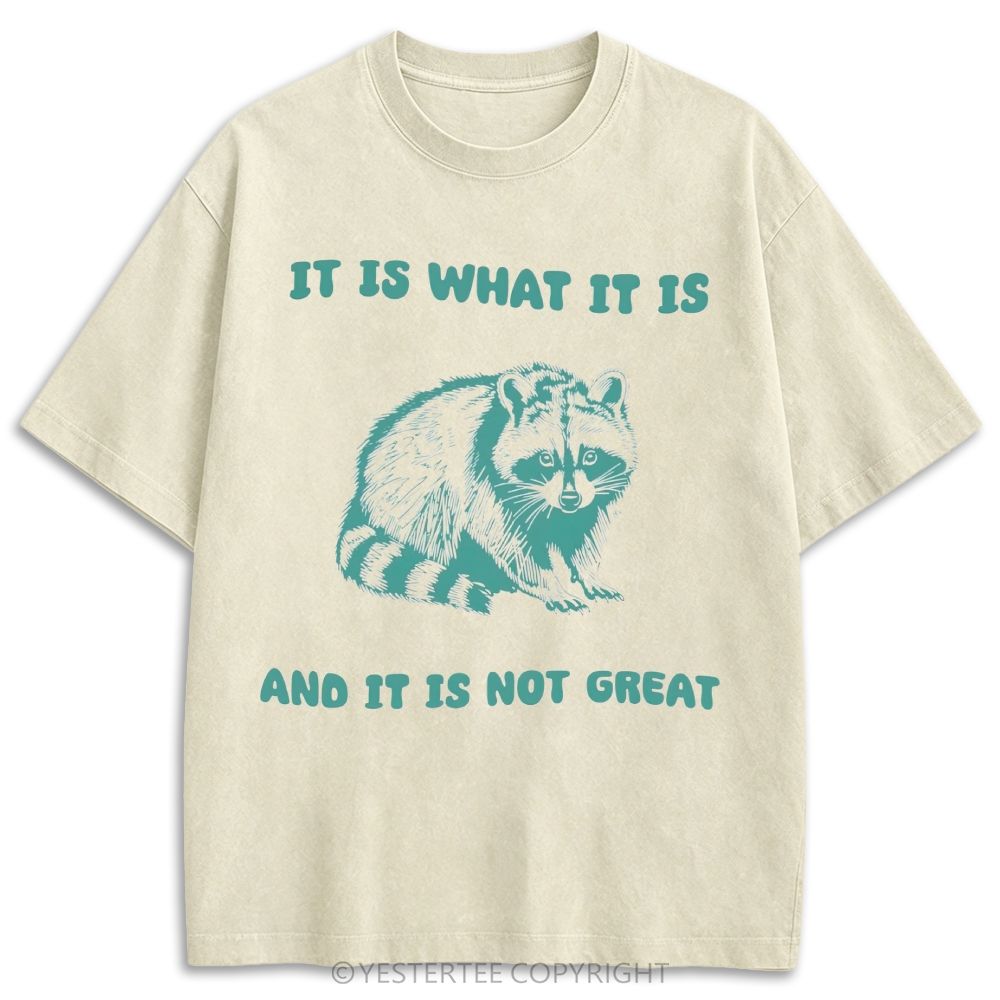 It Is What It Is Sad Raccoon Minimal Line Retro Washed T-shirt
