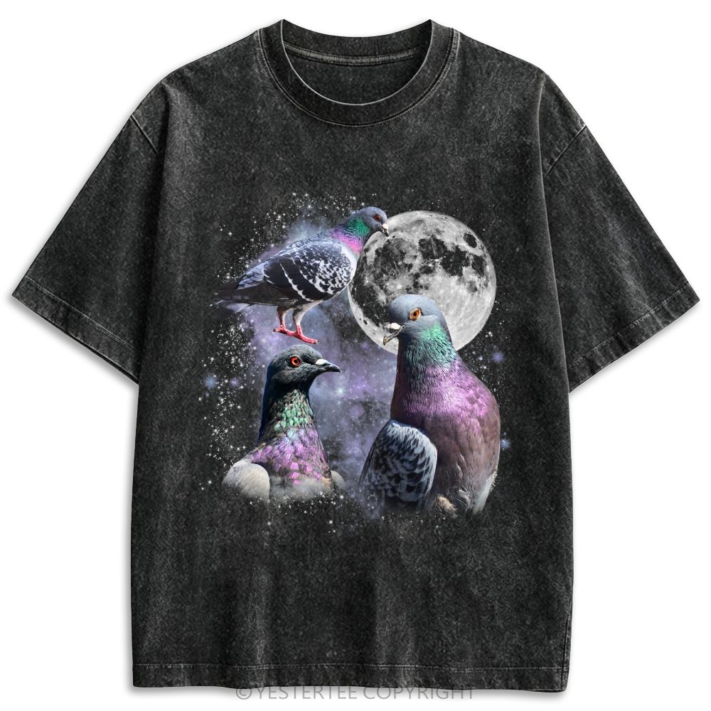 Vintage Pigeon Moon Washed T-shirt 