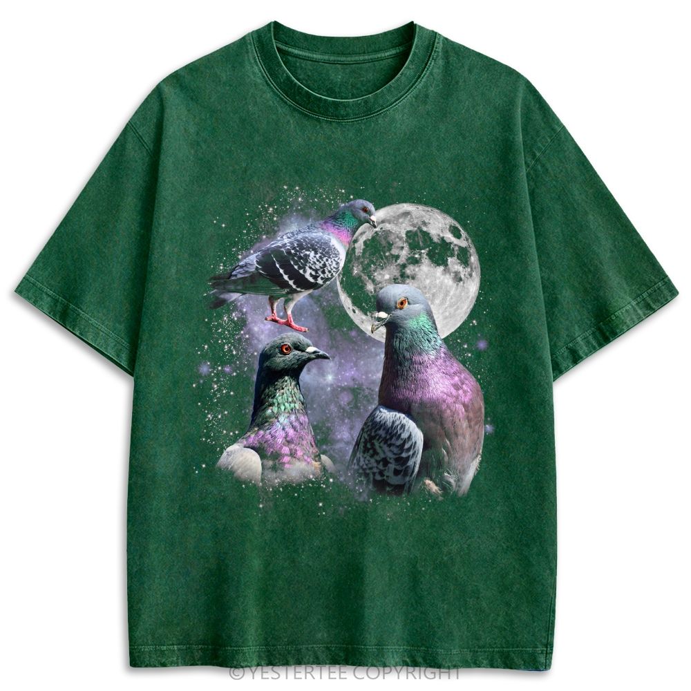 Vintage Pigeon Moon Washed T-shirt 