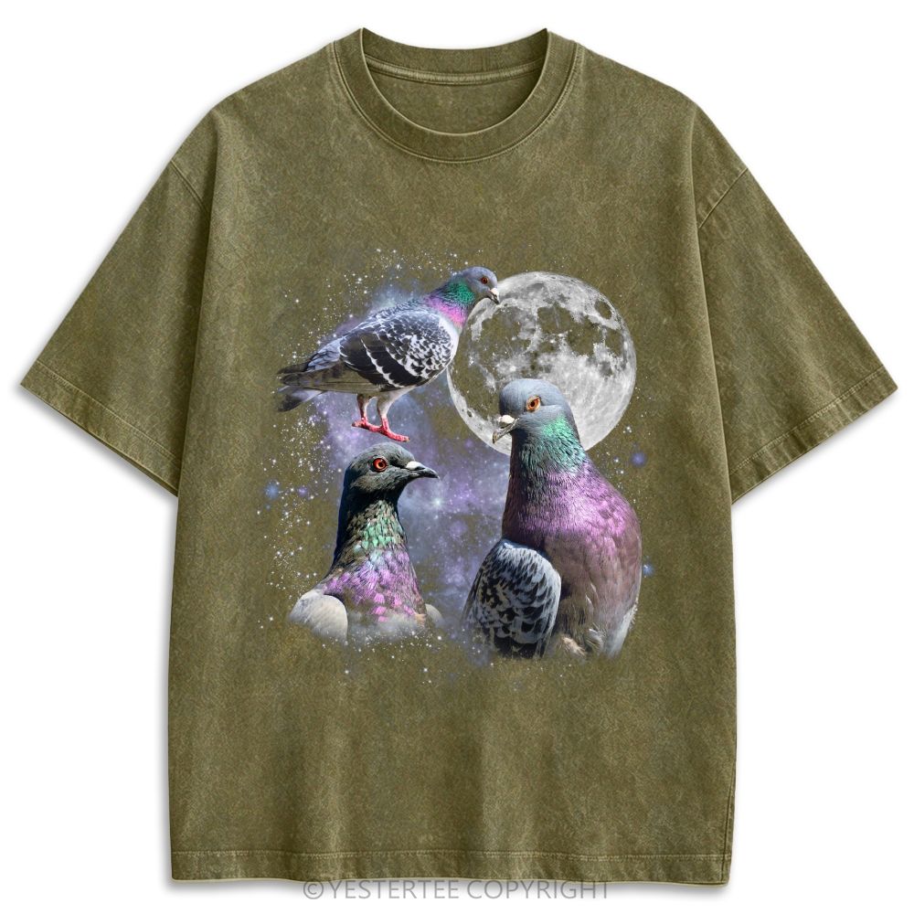 Vintage Pigeon Moon Washed T-shirt 