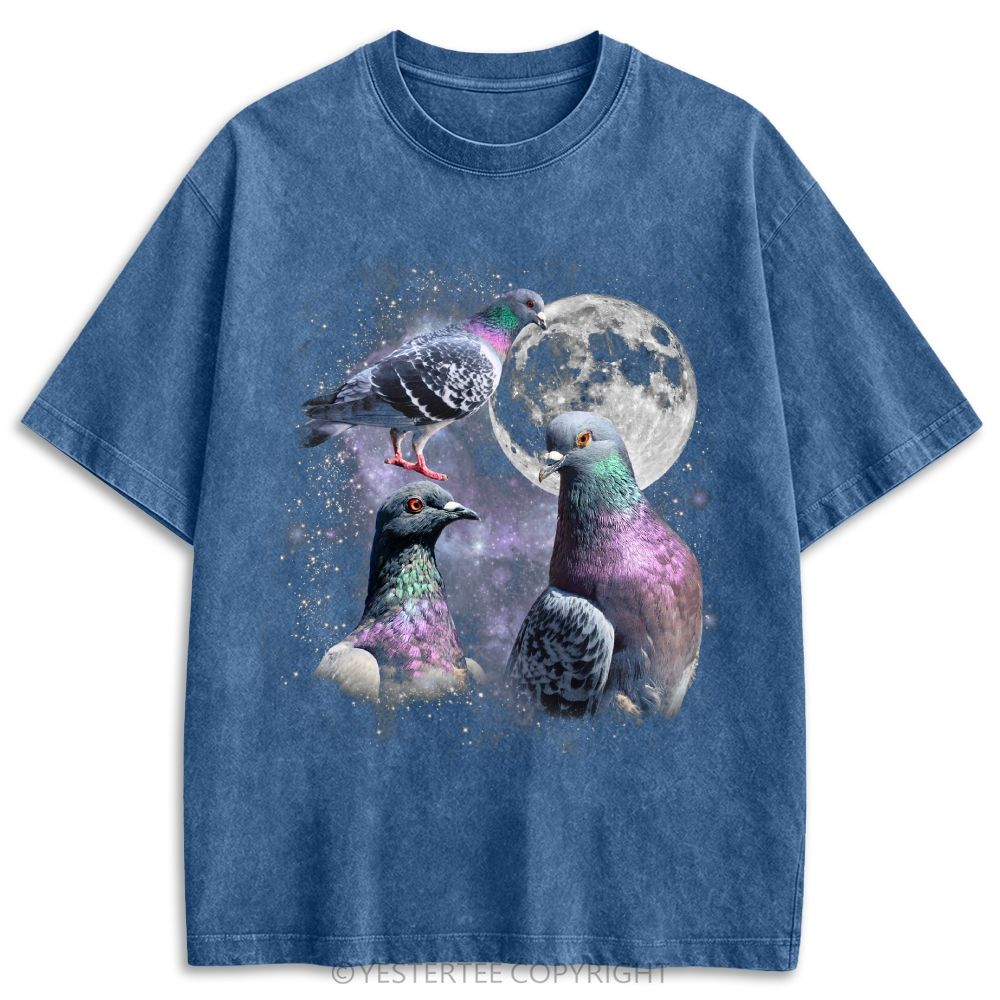 Vintage Pigeon Moon Washed T-shirt 