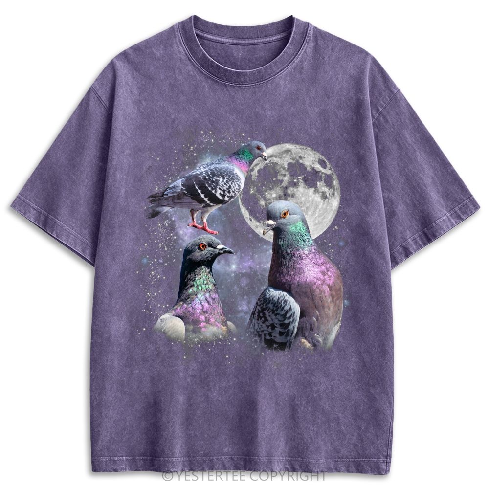 Vintage Pigeon Moon Washed T-shirt 