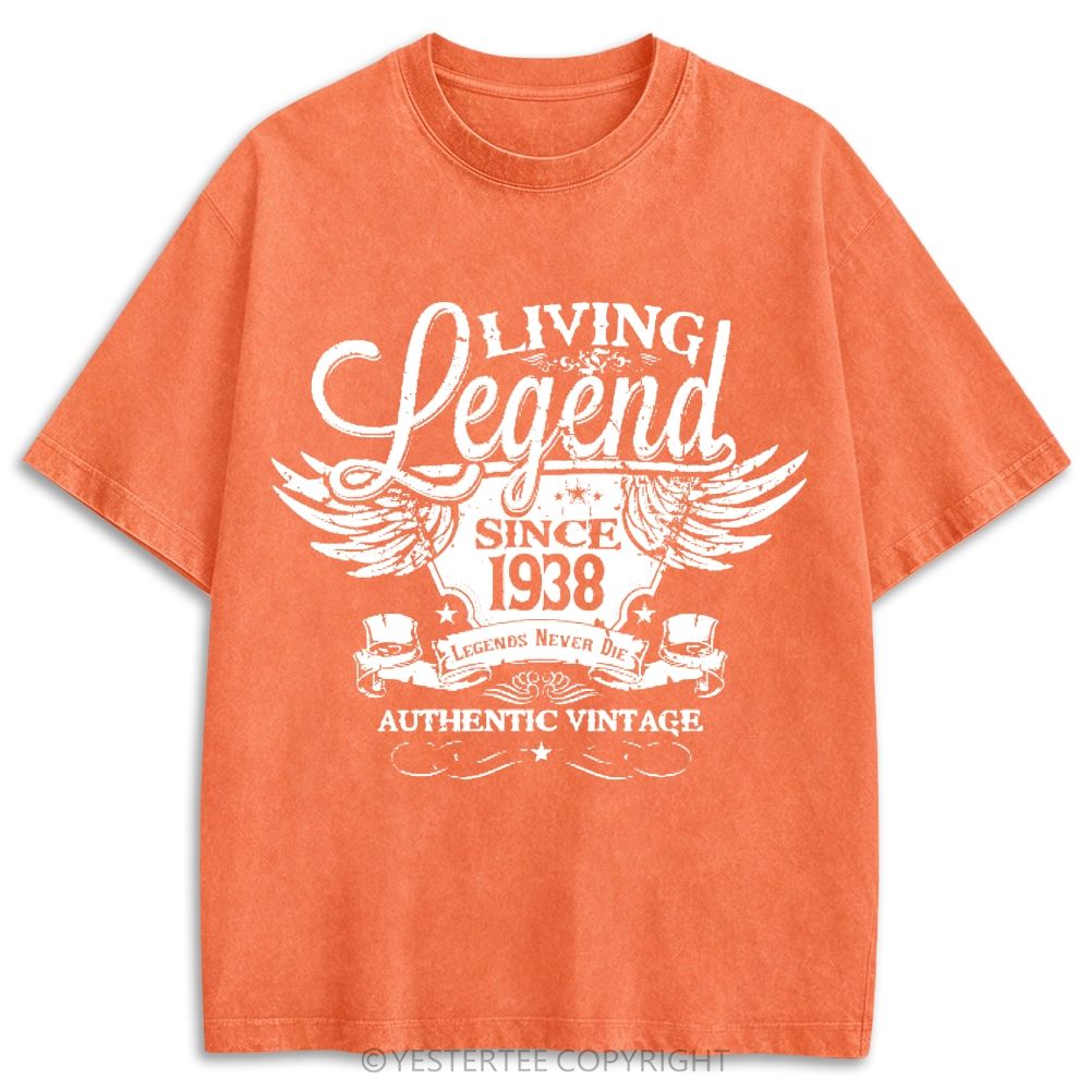 Retro Washed T-shirt 2607004260