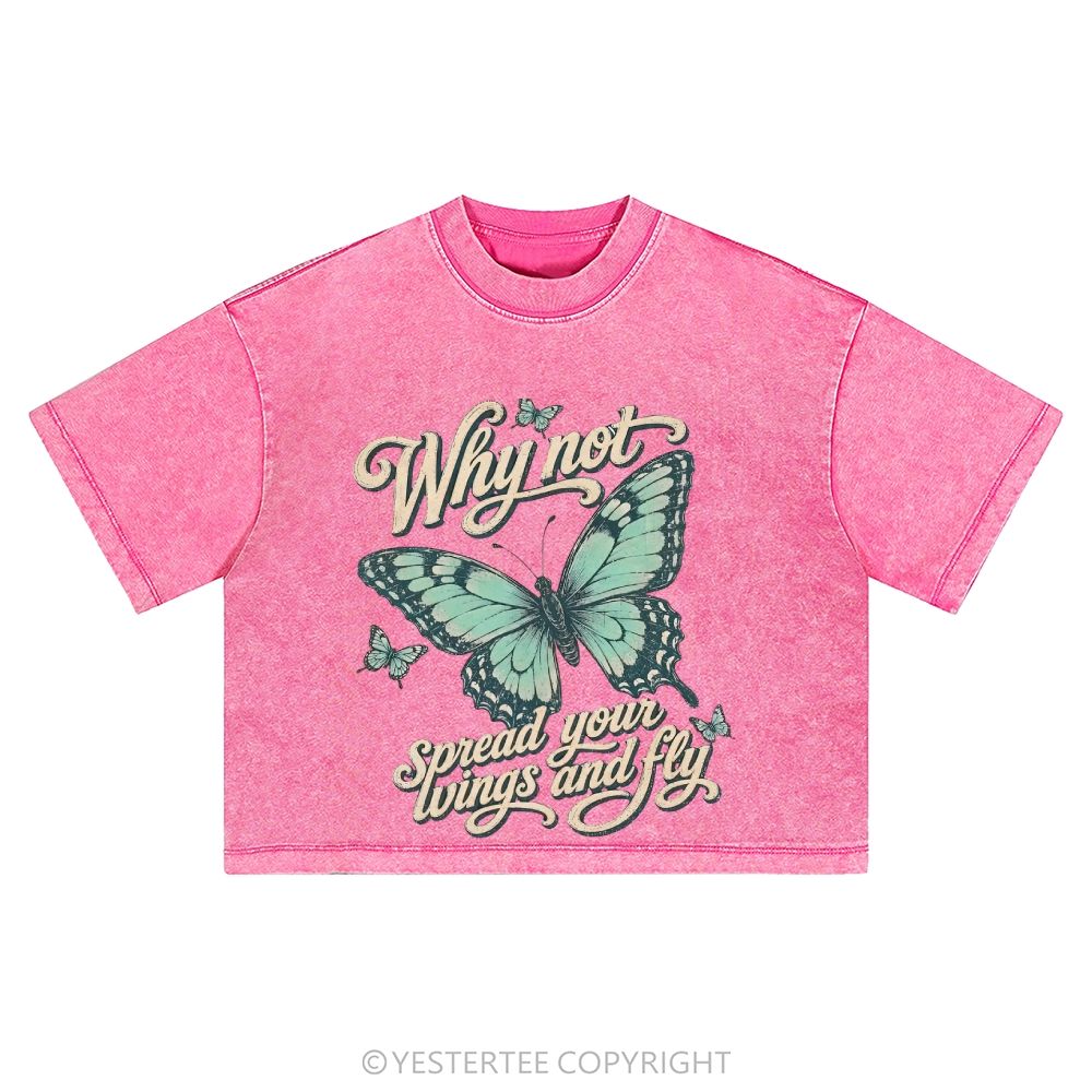 Washed Cropped T-Shirt 2607004658