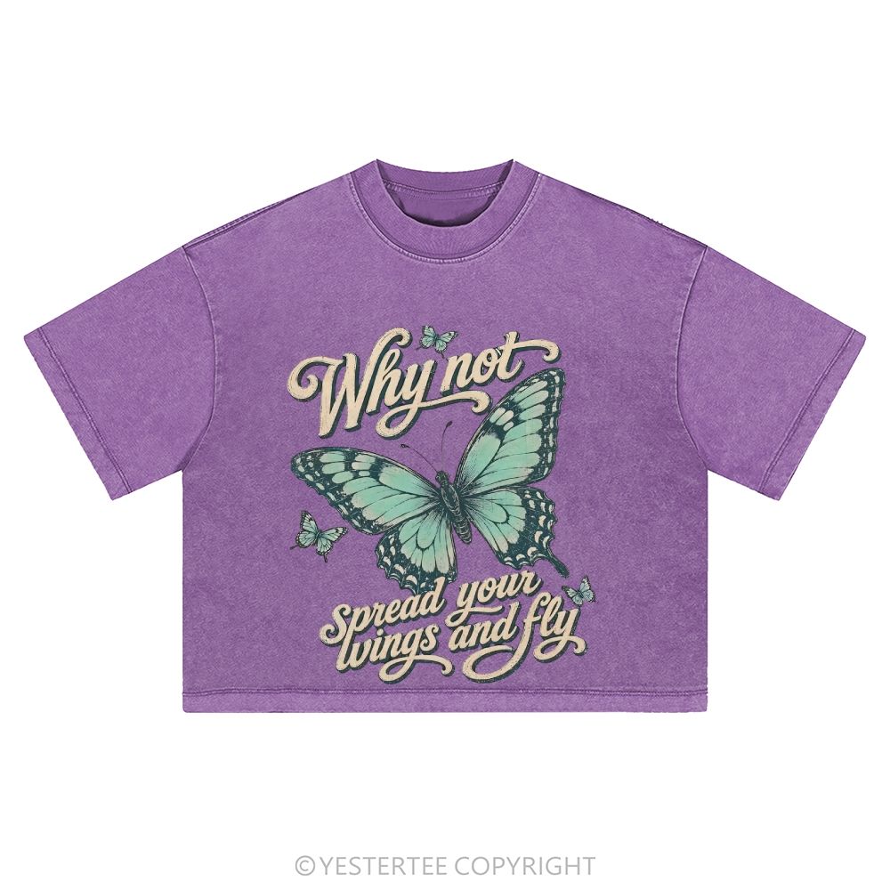 Washed Cropped T-Shirt 2607004658