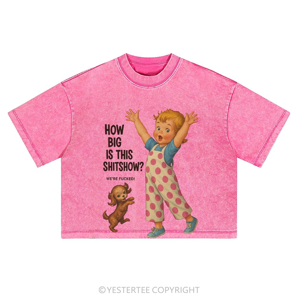 Washed Cropped T-Shirt 2607004698