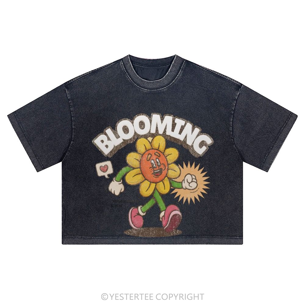 Washed Cropped T-Shirt 2607004797