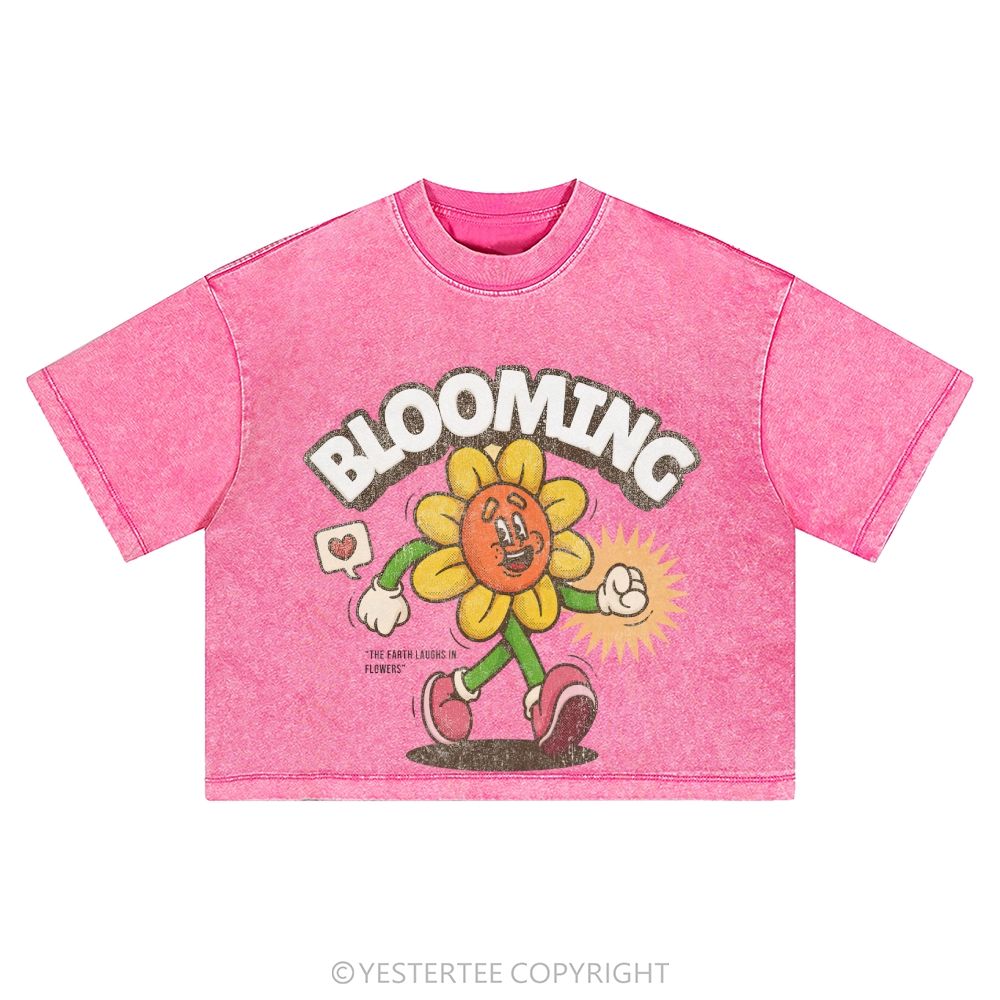 Washed Cropped T-Shirt 2607004797