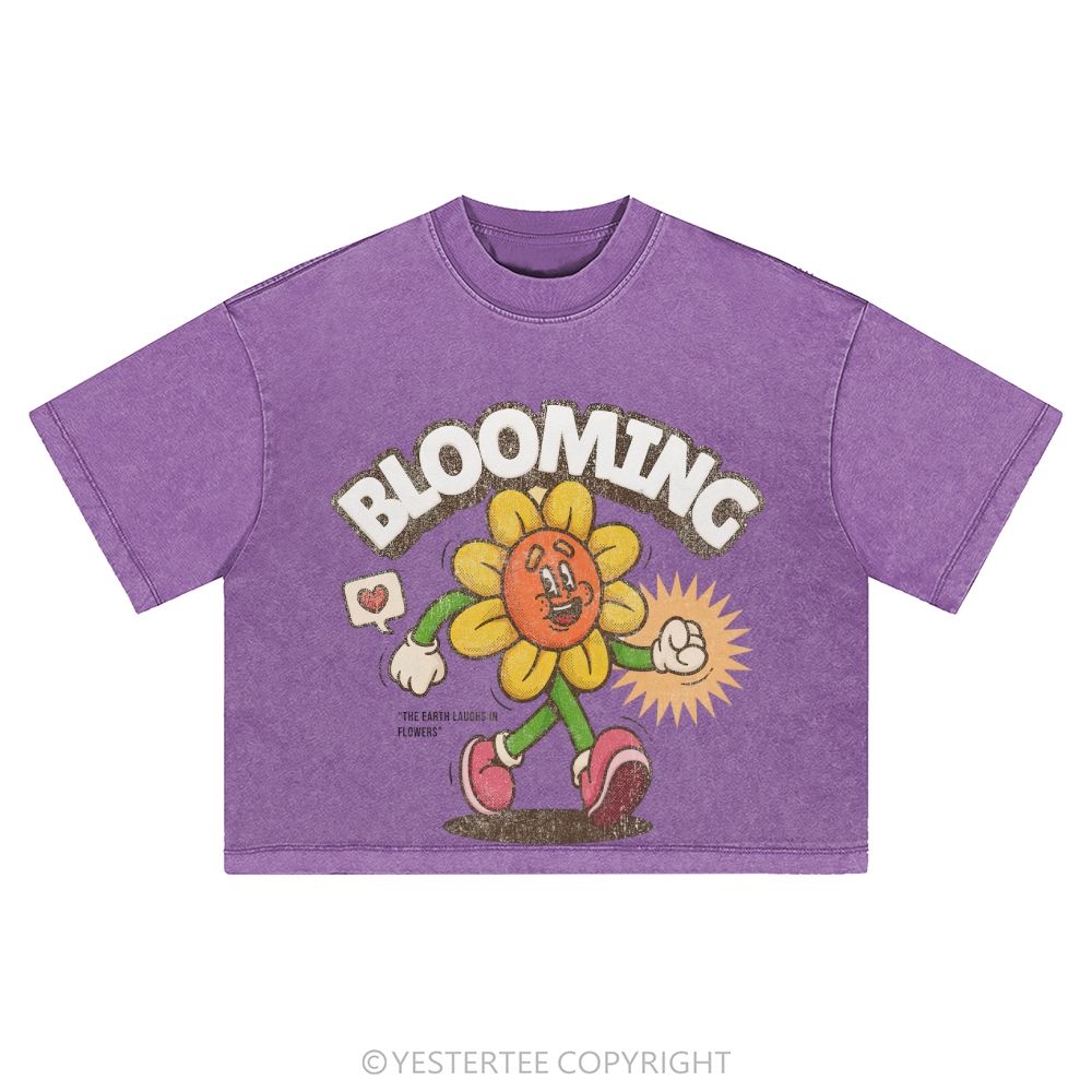 Washed Cropped T-Shirt 2607004797