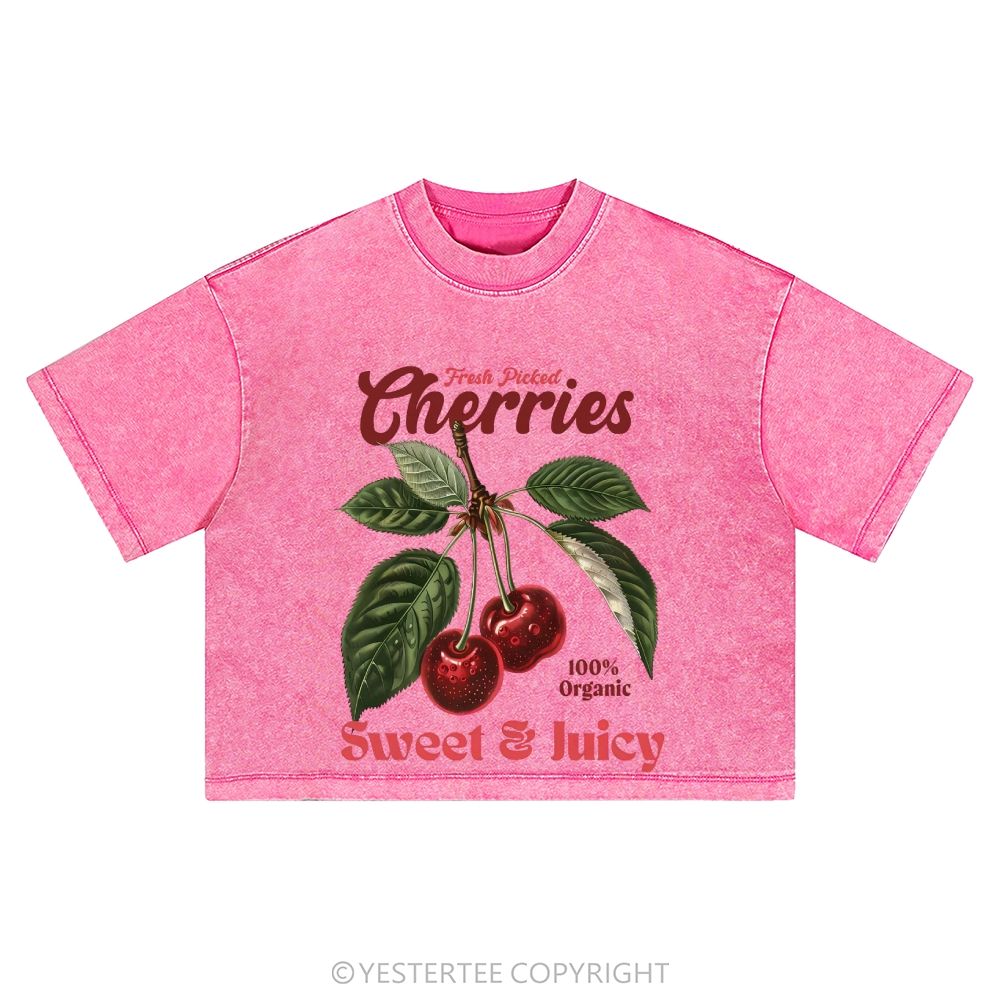 Washed Cropped T-Shirt 2607004799