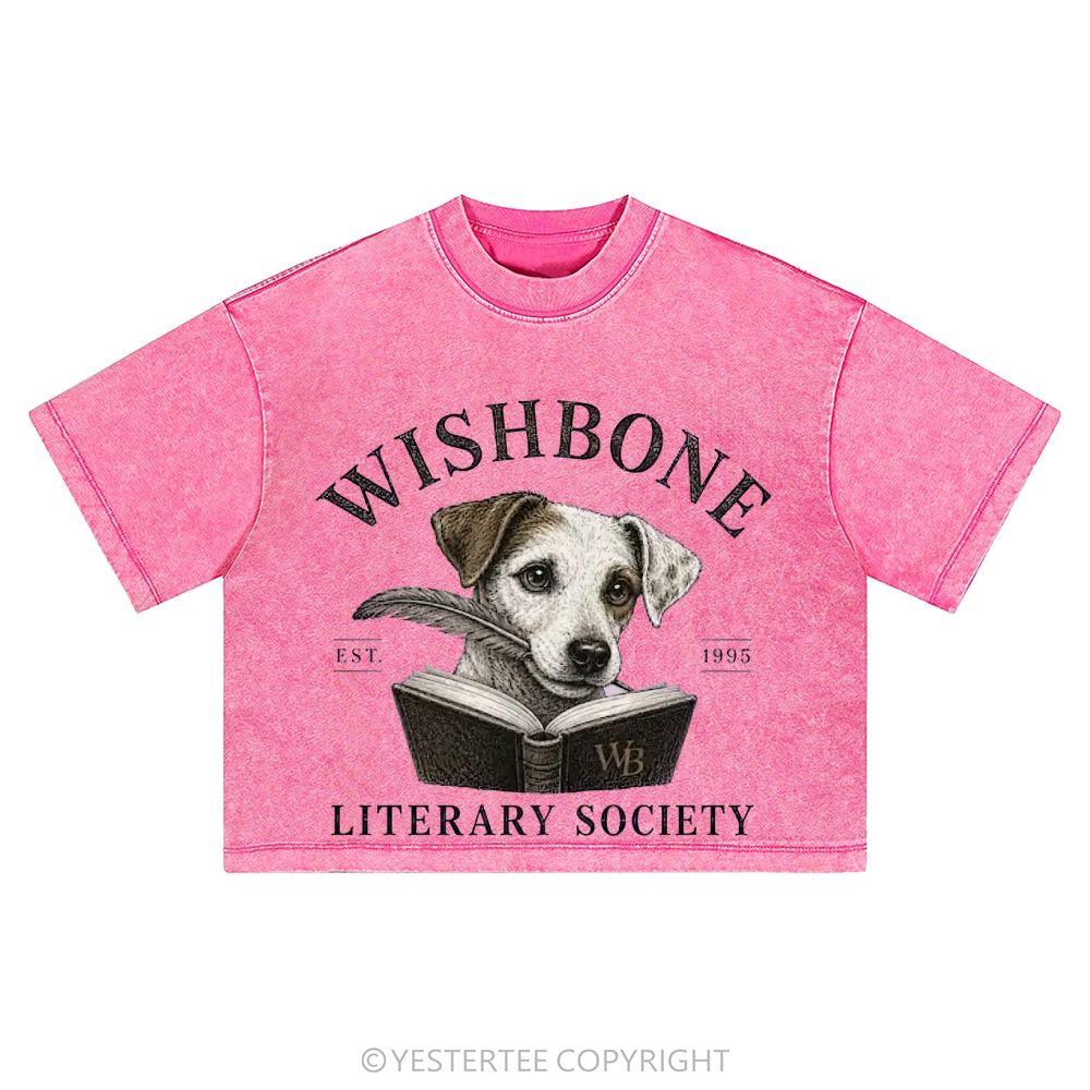 Washed Cropped T-Shirt 2607004856