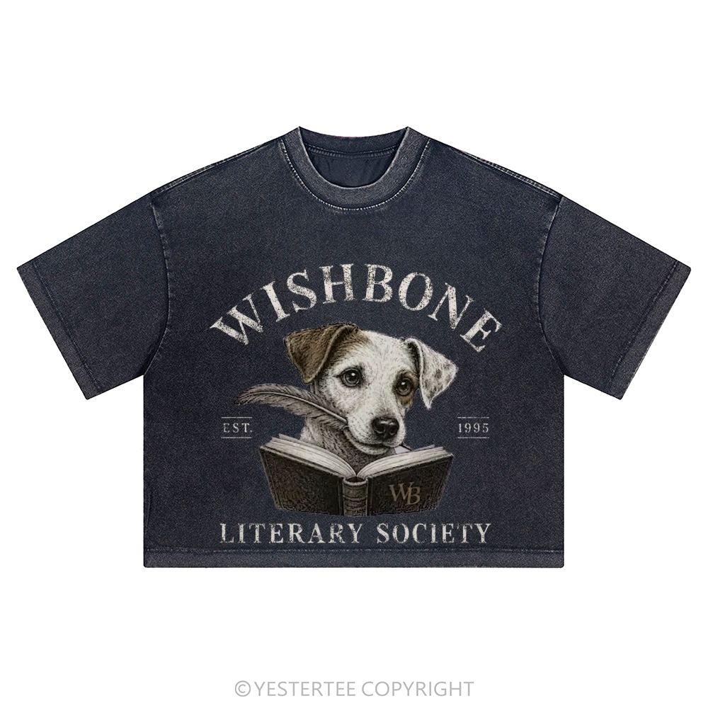 Washed Cropped T-Shirt 2607004856