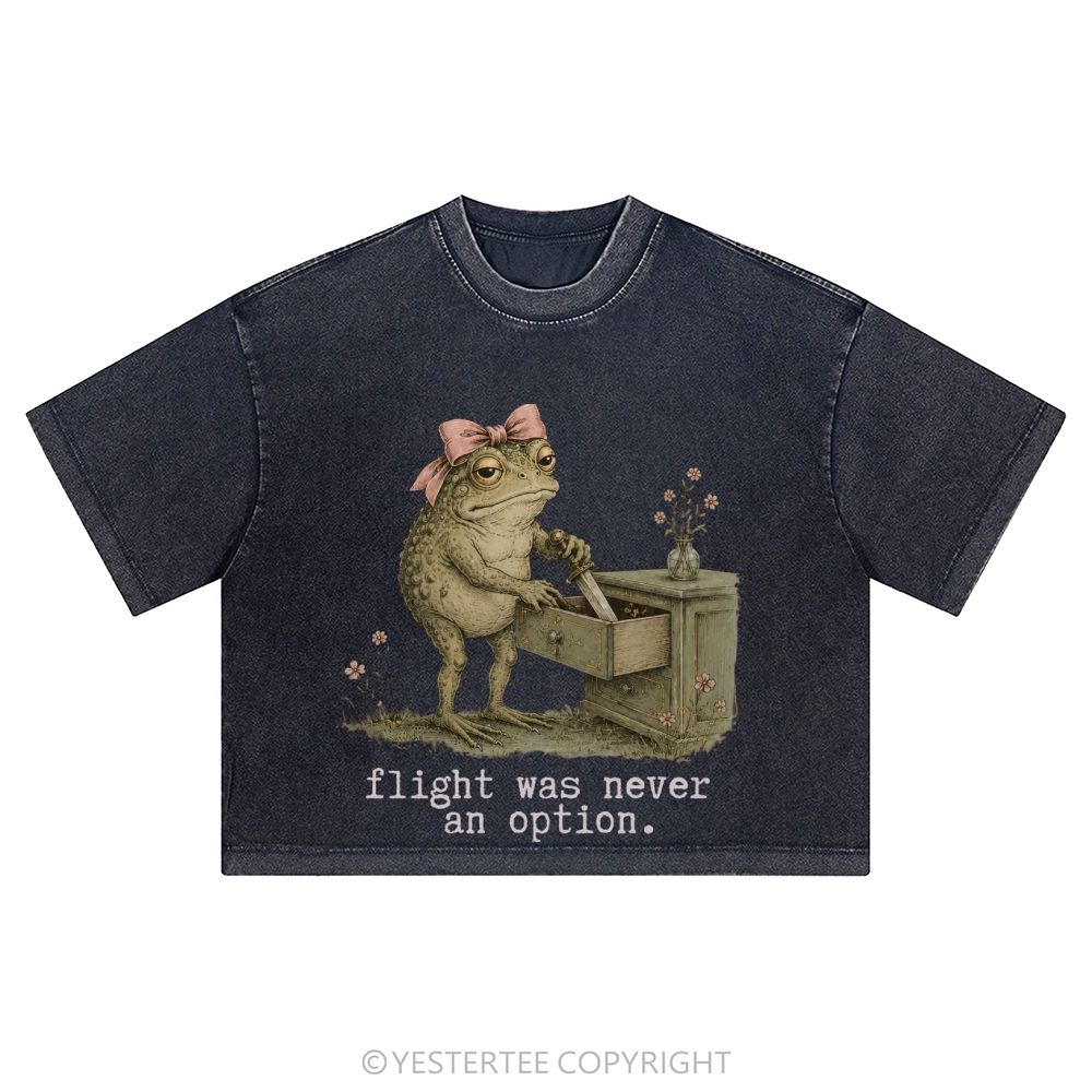 Washed Cropped T-Shirt 2607004879