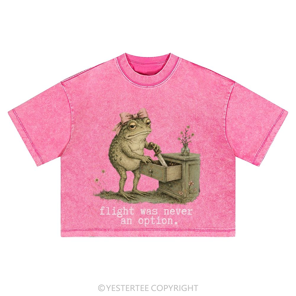Washed Cropped T-Shirt 2607004879