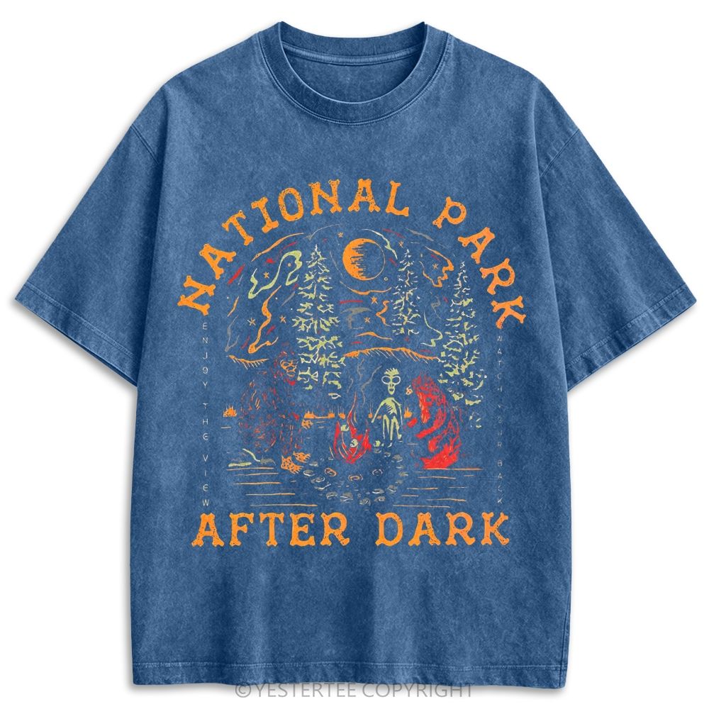 National Park After Dark Cryptid Camp Retro Washed T-shirt