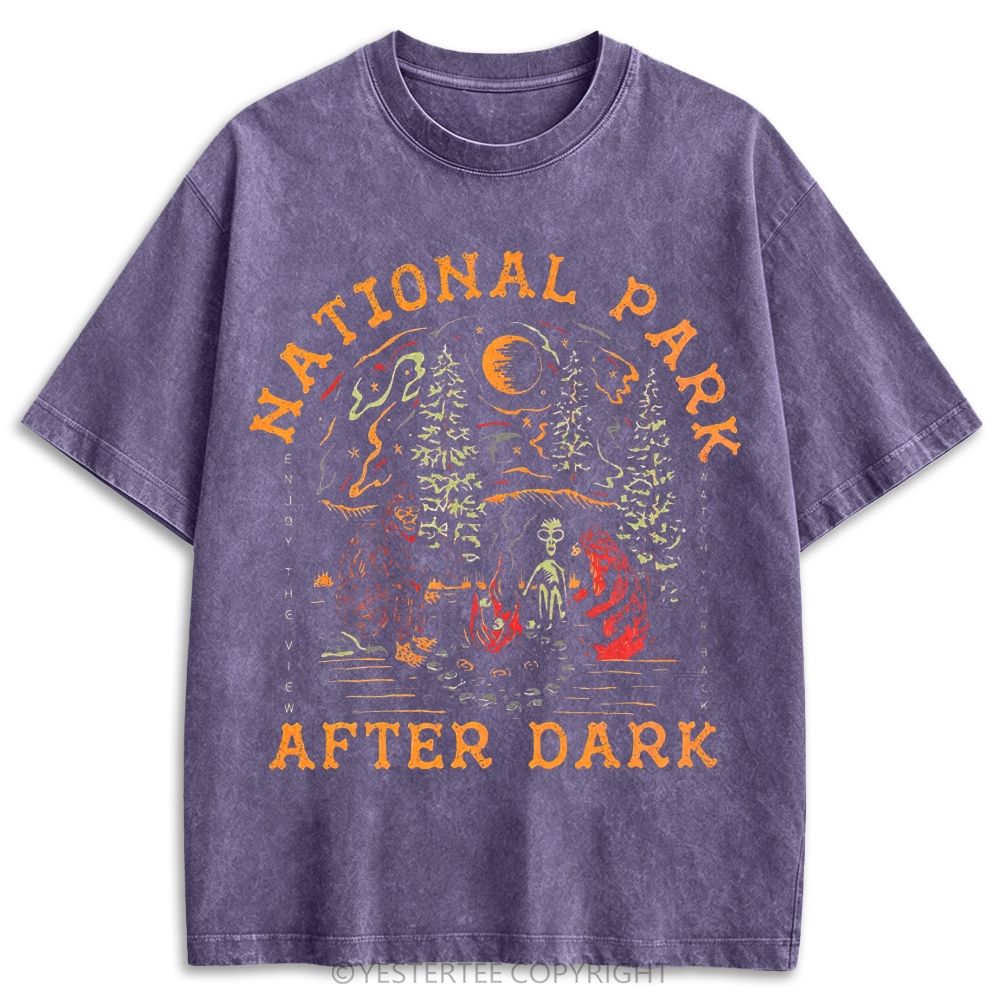 National Park After Dark Cryptid Camp Retro Washed T-shirt