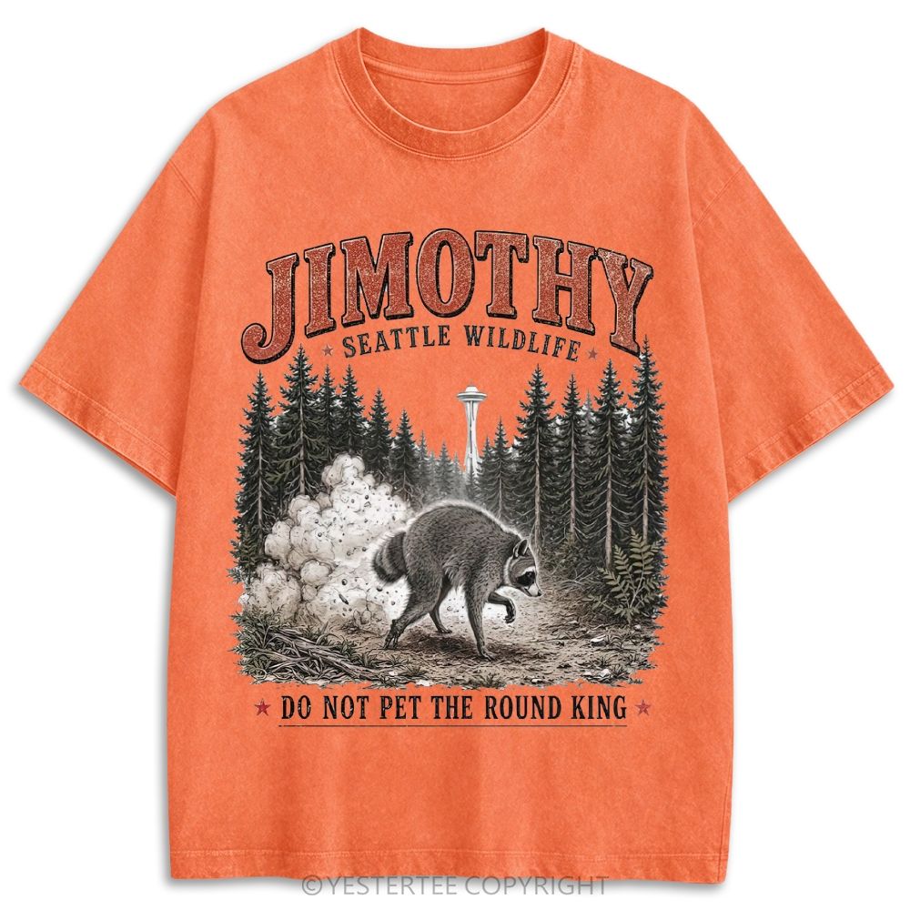 Retro Washed T-shirt 2607010602