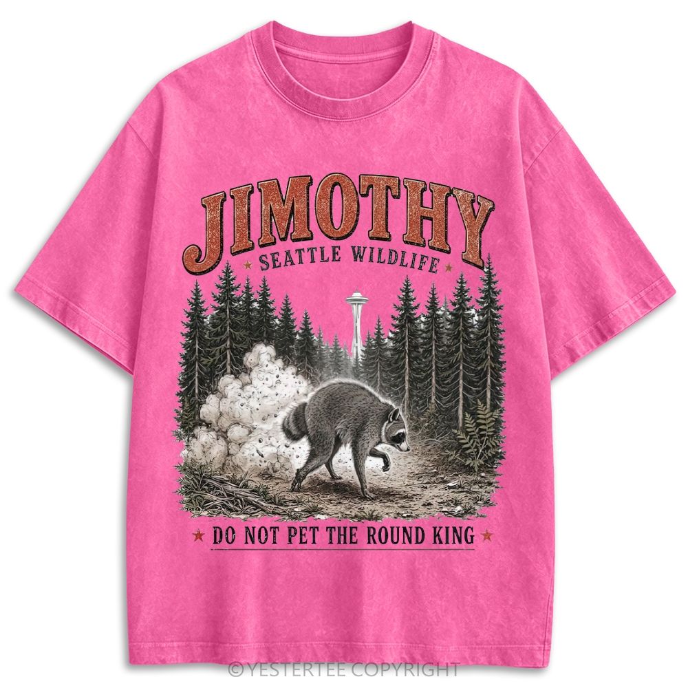 Retro Washed T-shirt 2607010602