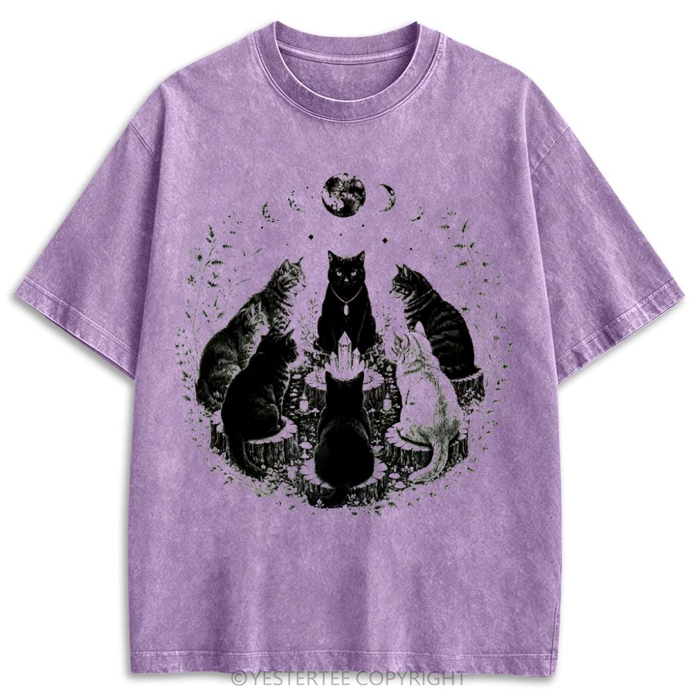 Retro Washed T-shirt 2607010608