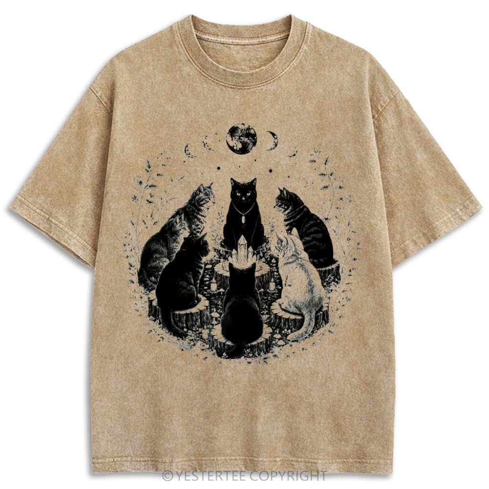 Retro Washed T-shirt 2607010608