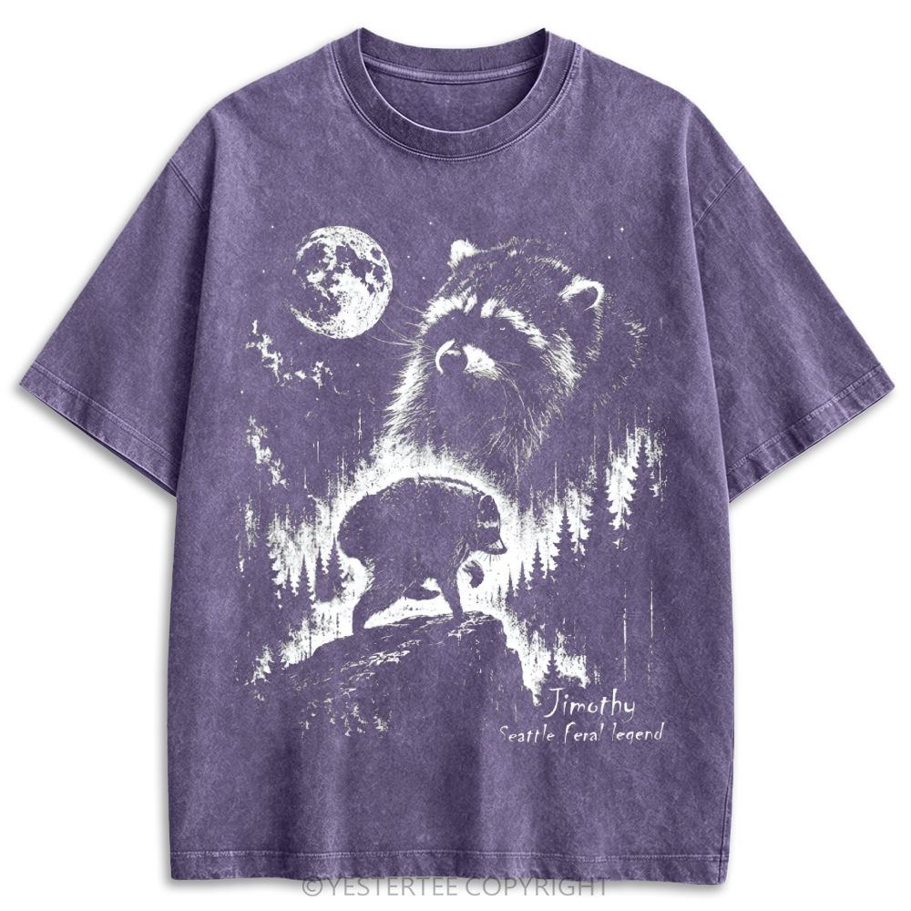 Jimothy Seattle Raccoon Moon Forest Retro Washed T-shirt