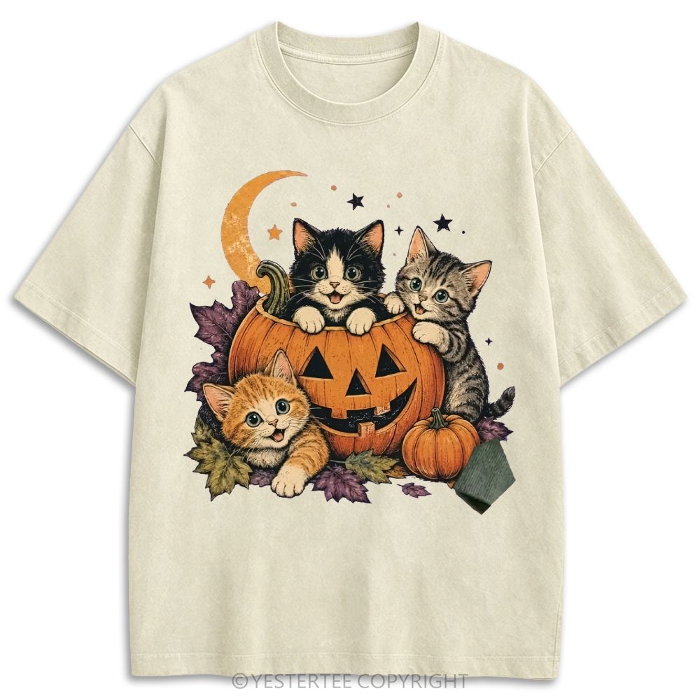 Retro Washed T-shirt 2607010654