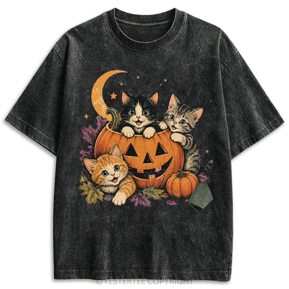 Retro Washed T-shirt 2607010654