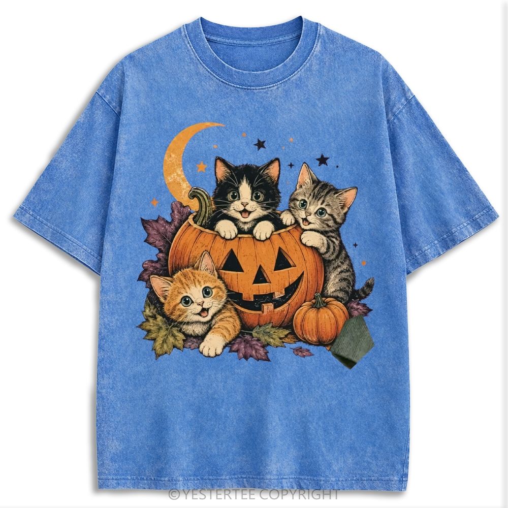 Retro Washed T-shirt 2607010654
