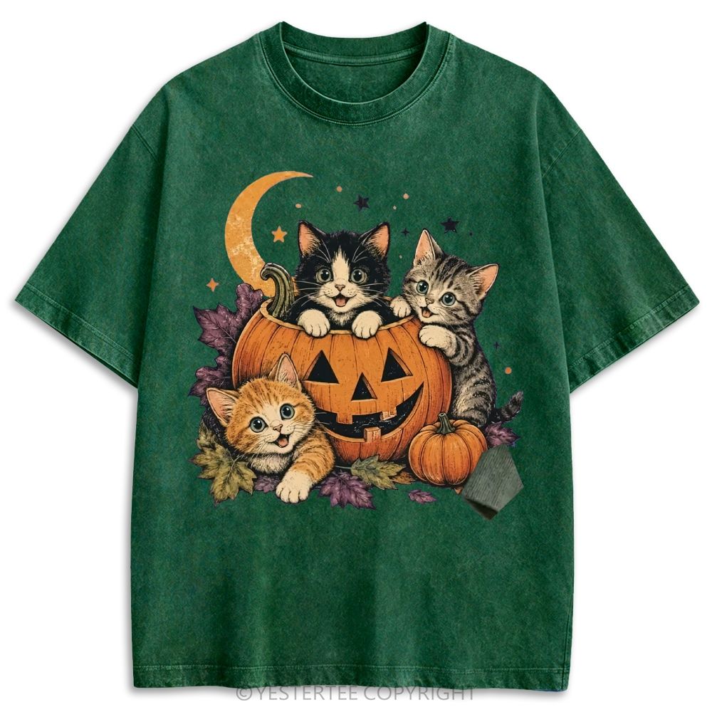 Retro Washed T-shirt 2607010654