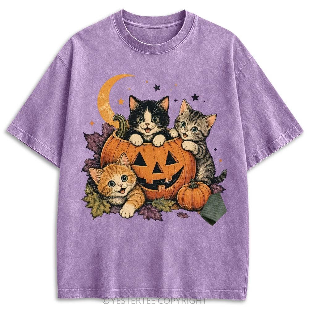 Retro Washed T-shirt 2607010654
