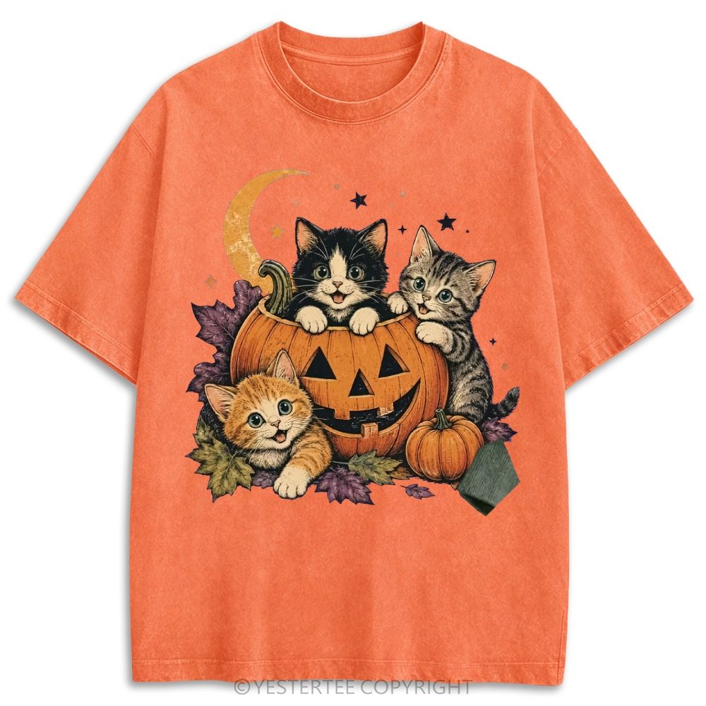 Retro Washed T-shirt 2607010654