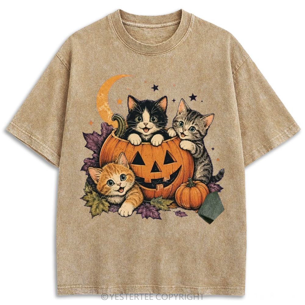 Retro Washed T-shirt 2607010654