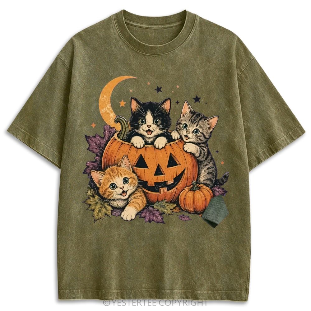 Retro Washed T-shirt 2607010654