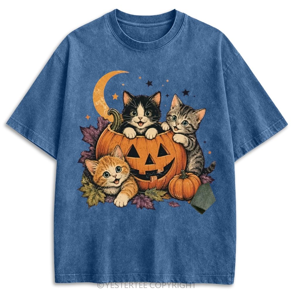 Retro Washed T-shirt 2607010654