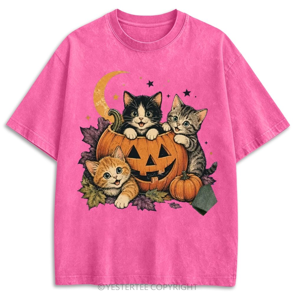 Retro Washed T-shirt 2607010654