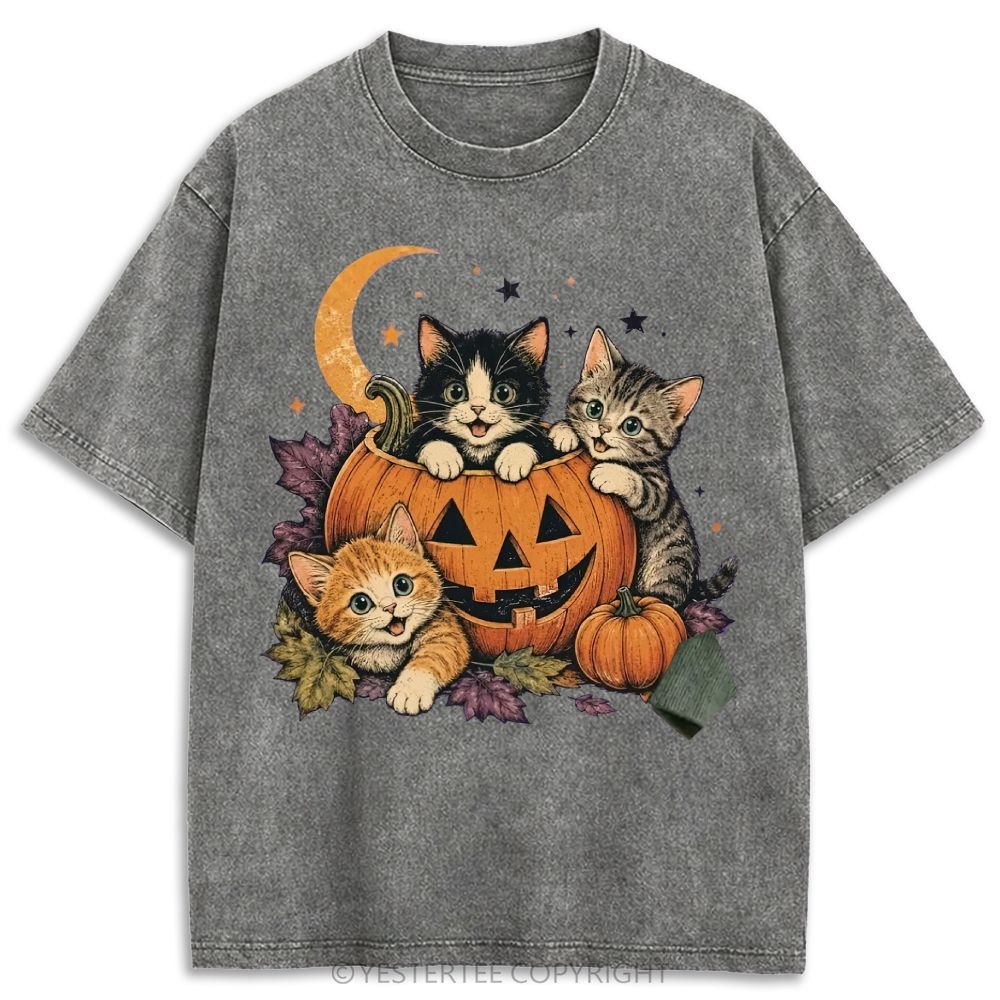 Retro Washed T-shirt 2607010654