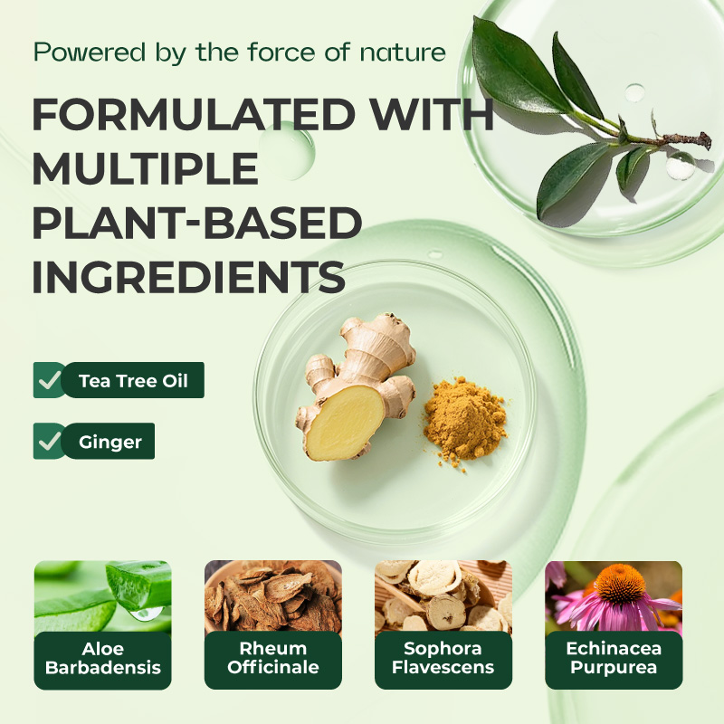Kreain Nature™Tea Tree & Ginger Nail Treatment