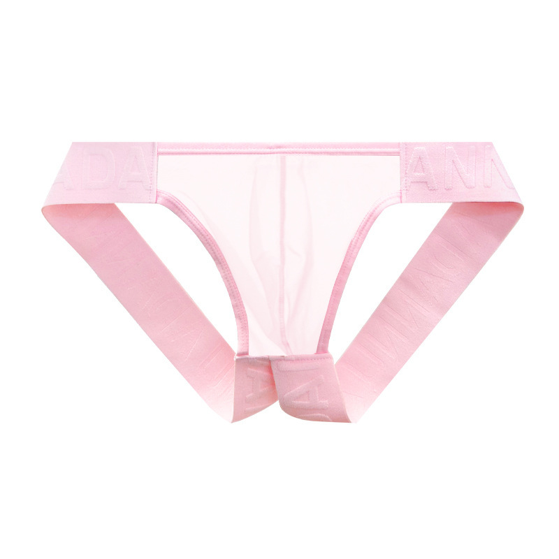 Sheer Temptation Mesh Briefs – Sexy See-Through Men’s Underwear | PEACHBUMX