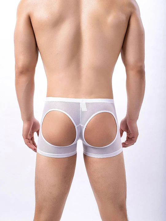 Men's Sexy Mesh Hip Hollow Boxer Briefs